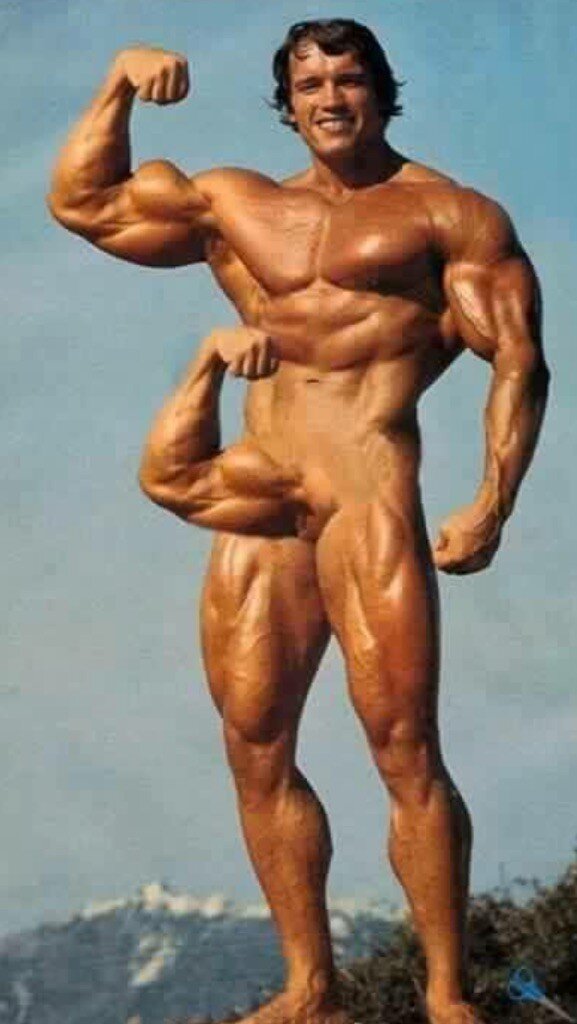 Arnold picture