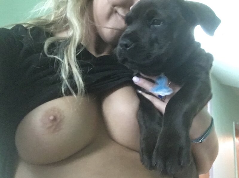 Boobs and puppies picture
