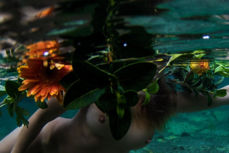 내가 알고있는 호주 picture