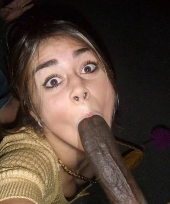 황소 착유 picture