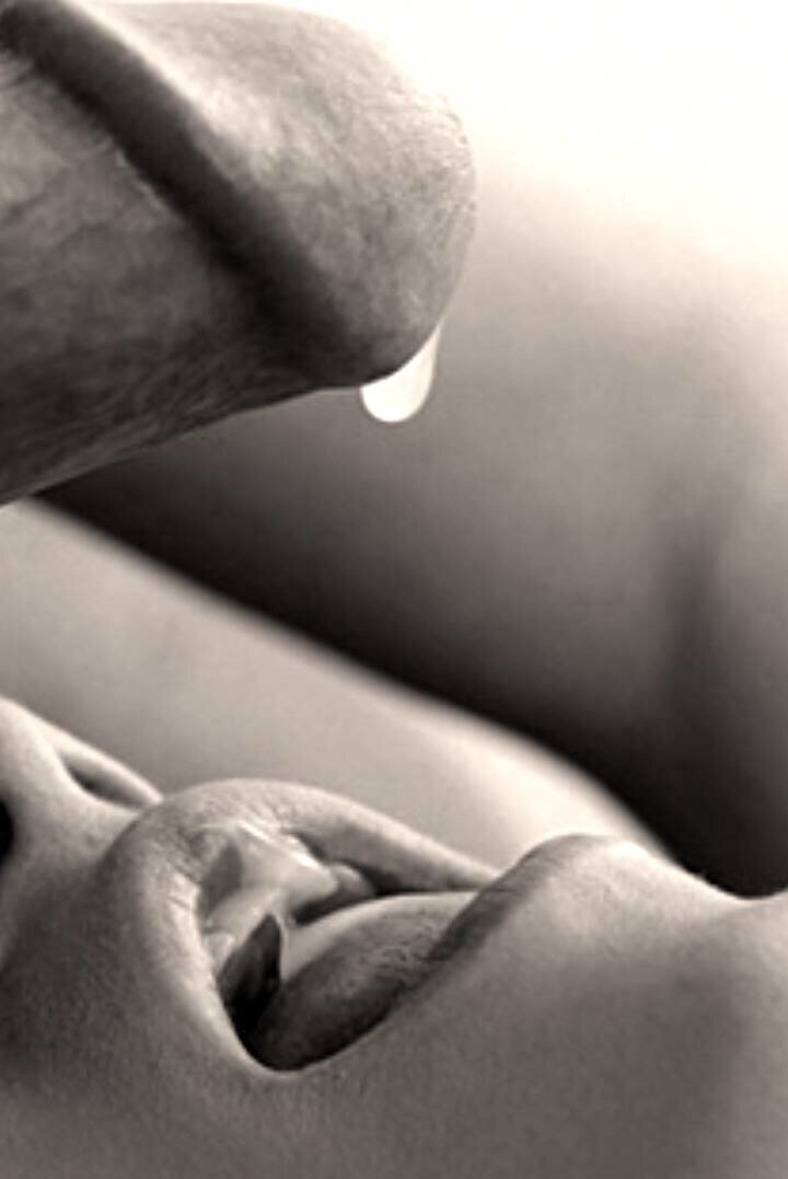 あなたの御馳走、ペット picture