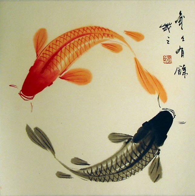 The cicle of koi picture