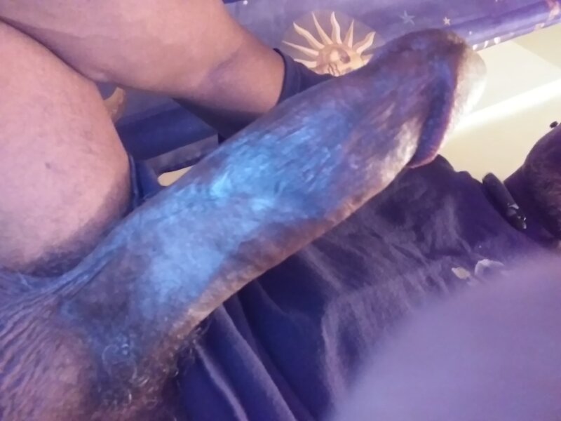 田纳西州迪克 picture