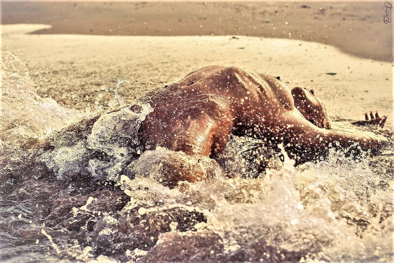 彼女はとても角質だったので、彼女が来たとき、私たちは海岸警備隊を呼びました！ picture