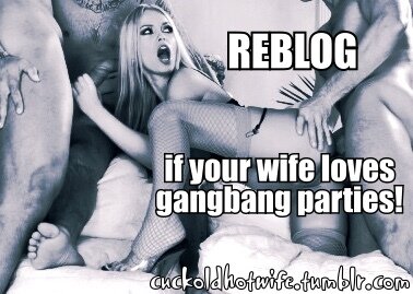 REBLOG if your wife loves gangbang parties… picture