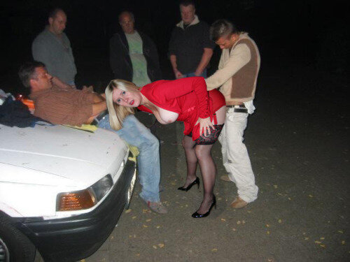 伙计们排队到粗暴放荡的狗狗 picture