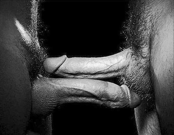 즐기십시오 picture