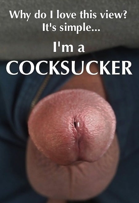 Cocksucking and cocks I'd like to suck picture