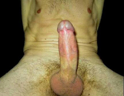 benim horoz picture
