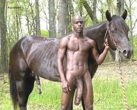 His dick is even bigger than the horse's, now that's a real alpha male, ready to impregnate whole towns of women picture