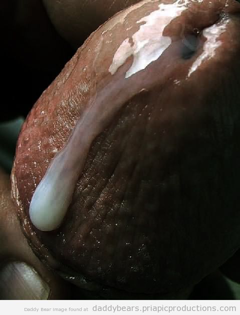 スウィートカム picture