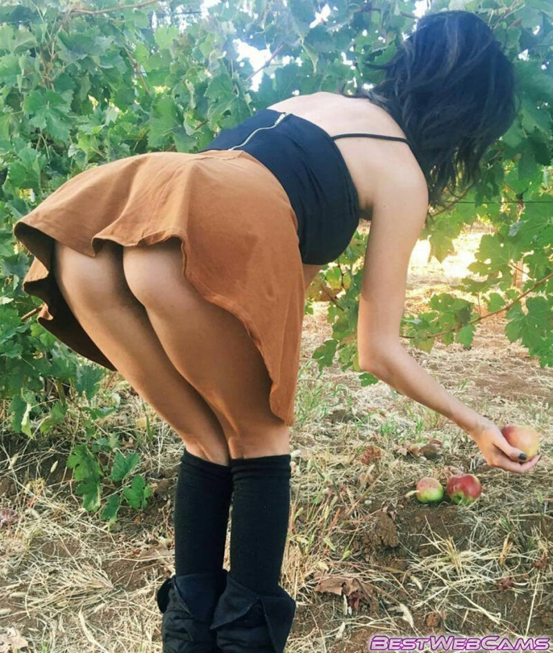 りんご picture