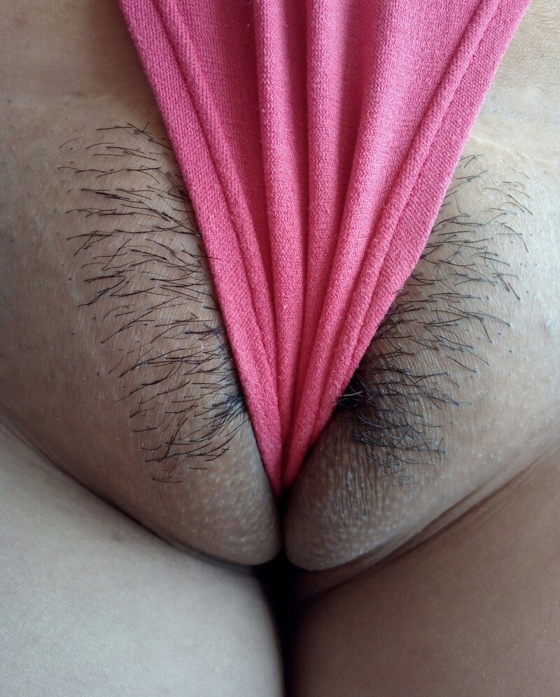 놀라운 음모 펠린 picture