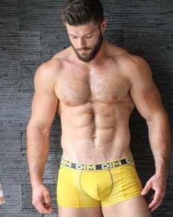 Muscle guy in yellow underwear picture