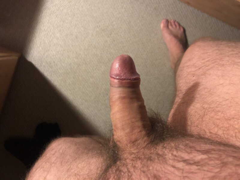 Solodick picture