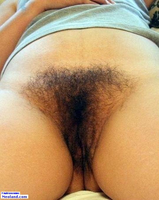 Beautiful hairy in a amazing photo picture