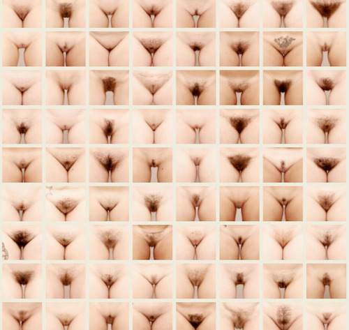 猫的森林 picture