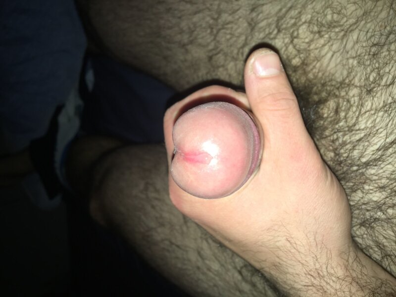 Penis kutas picture