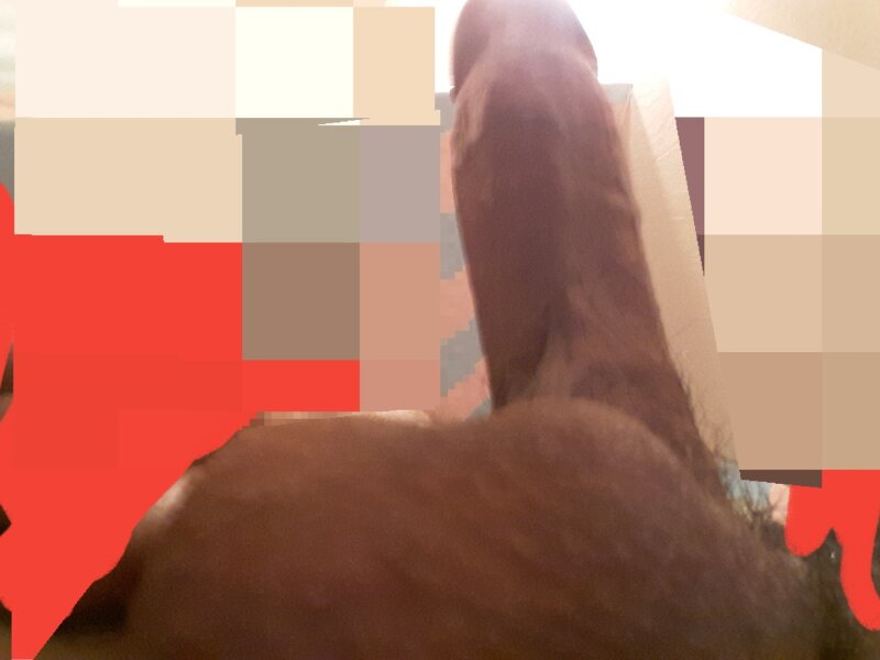 ハードコック picture