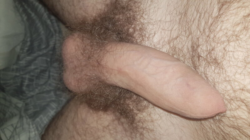 My cock picture