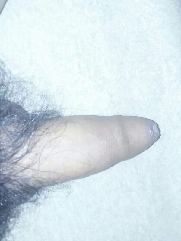 Big hairy dick picture