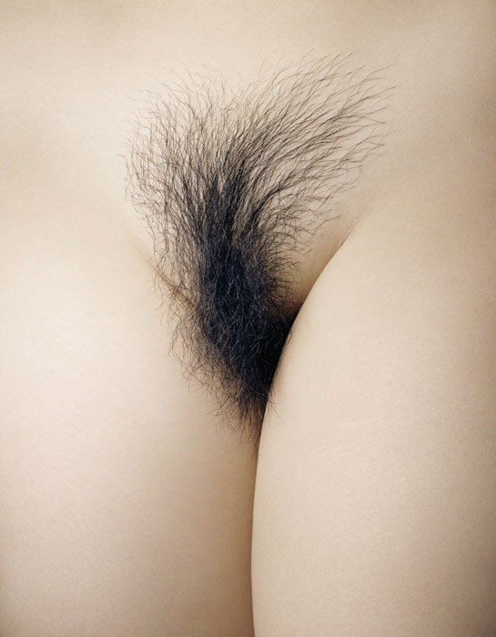 Beautiful asian hairy pussy picture