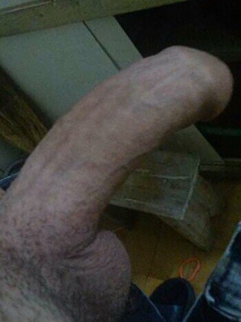 Big white cock picture