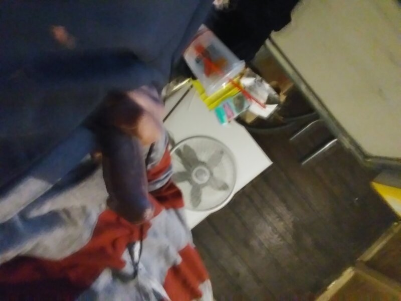 我的公鸡 picture