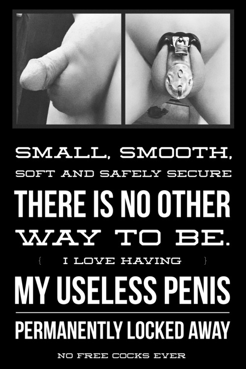 chastitychronicles: chastitychronicles: (via TumbleOn) (via TumbleOn) The post chastitychronicles: chastitychronicles: (via… appeared first on Femdom Fetish Gallery. picture