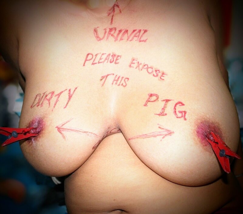 Piggy boobs picture