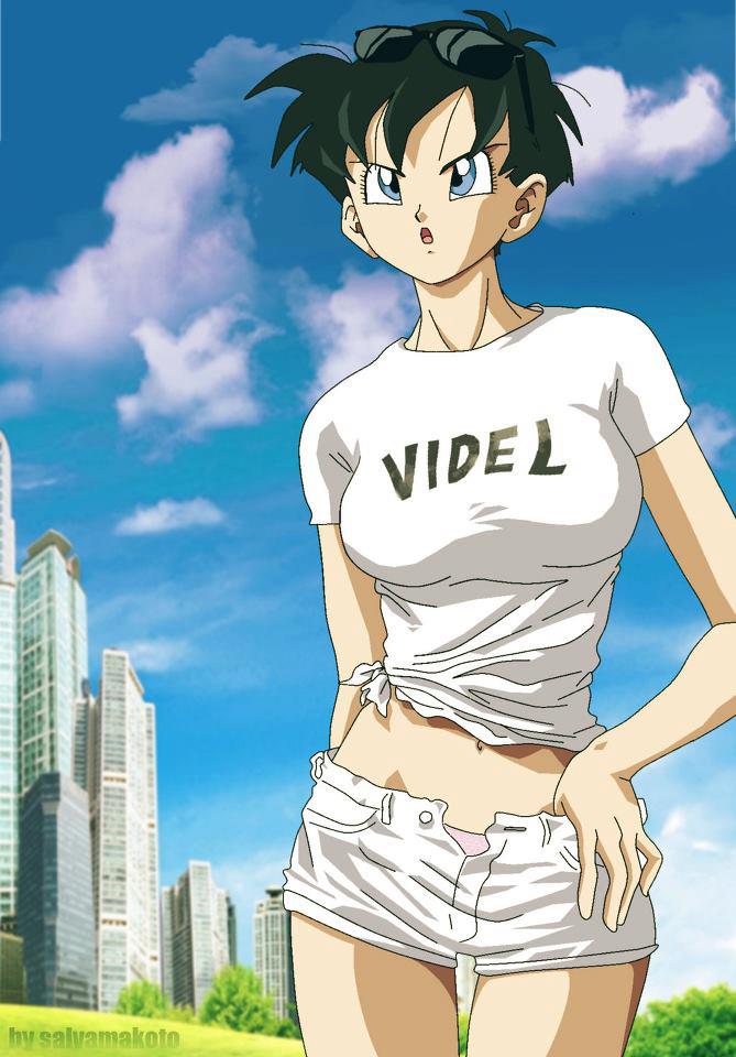 Dragon Ball Videl picture