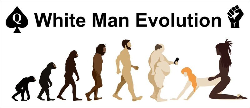 white man evolution picture