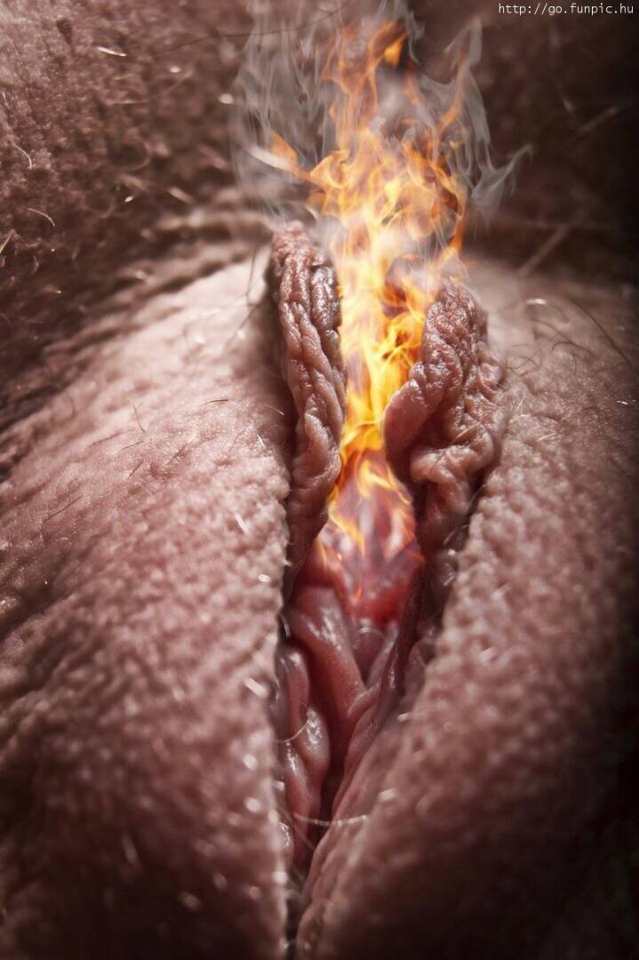 Hint kedi çok çok sıcak picture