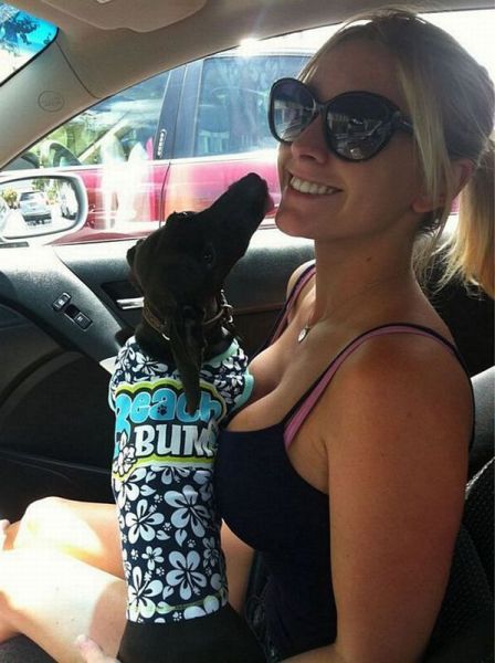 狗的风格 picture