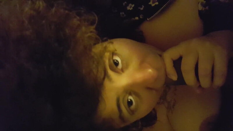 暗燕子吮吸英国广播公司 picture