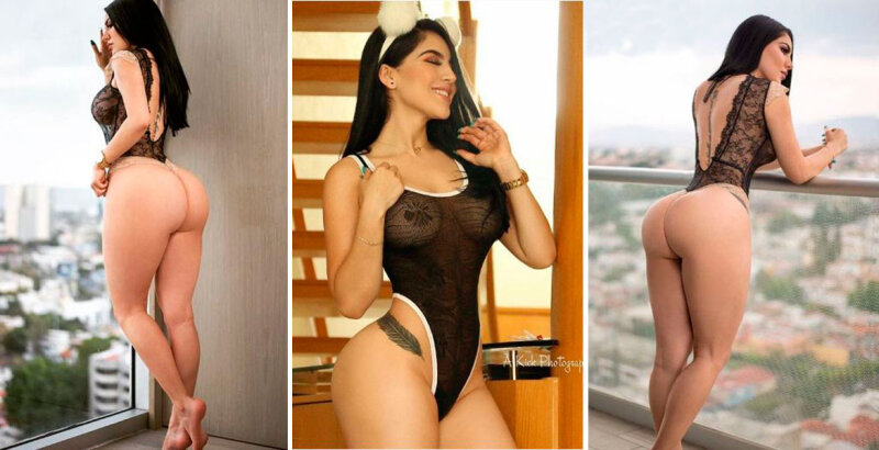 弯曲的拉丁 picture