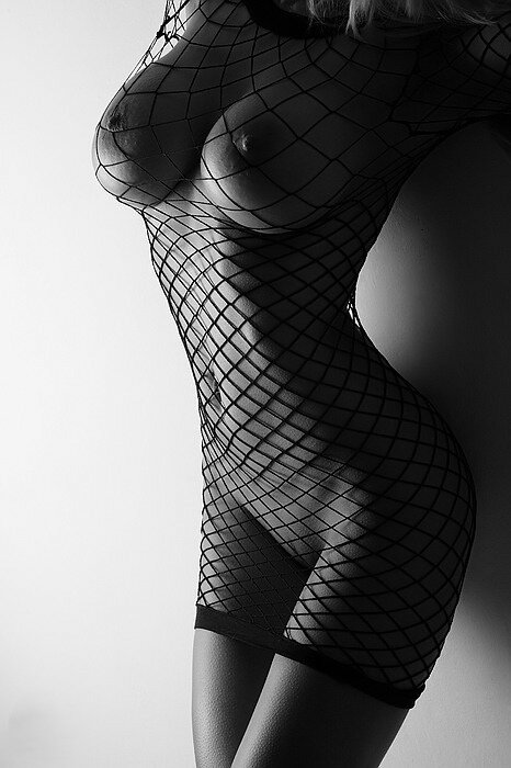 caught in the net picture