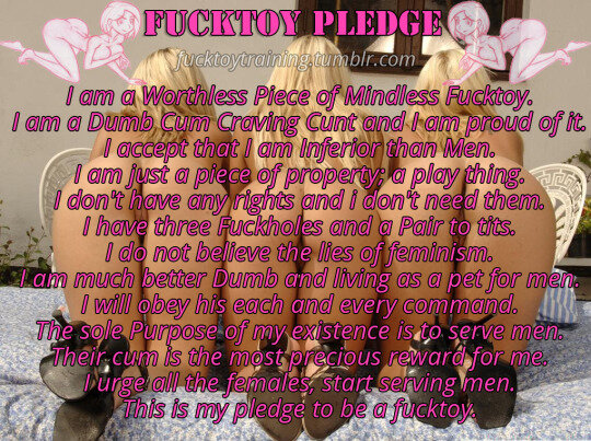The fucktoy pledge picture
