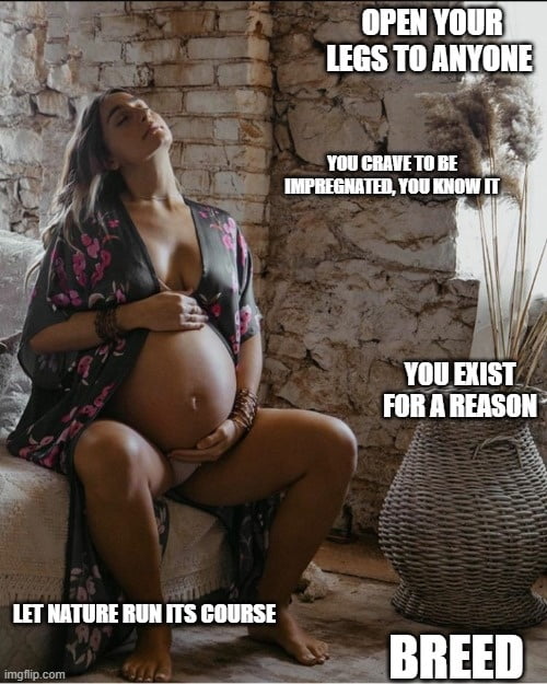 pregnant picture