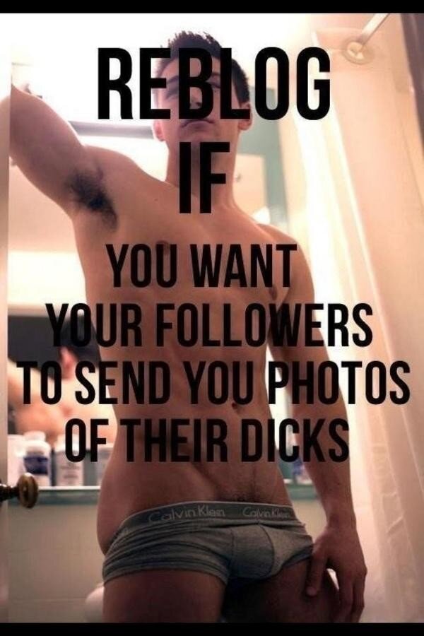 Send me dick pics picture