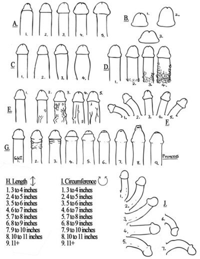 根据要求，secretnipples为2¾b½c½4d½e picture