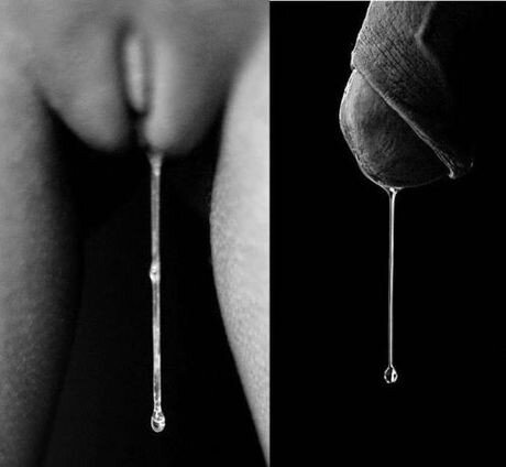 Dripping desire picture
