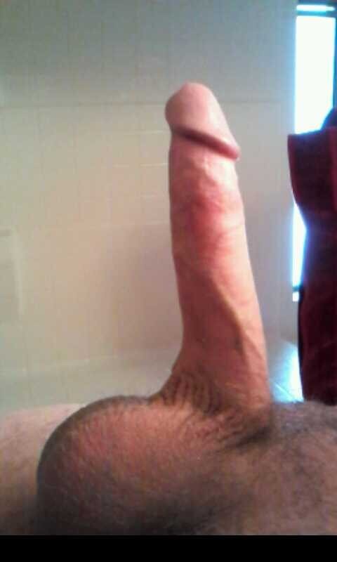 Hard dick picture