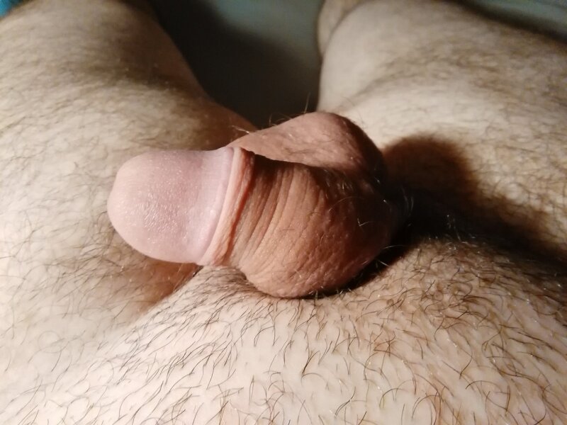 cocks picture