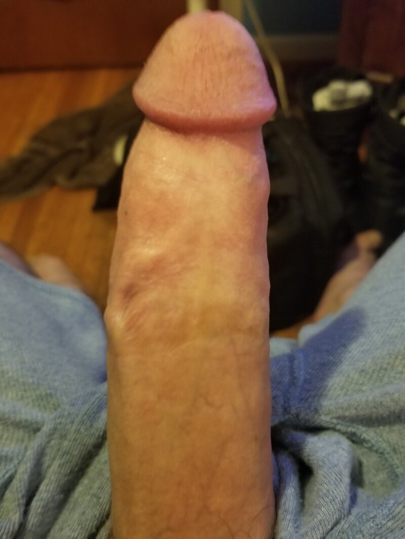 White cock picture