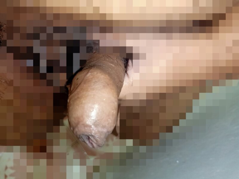 küçük penis picture