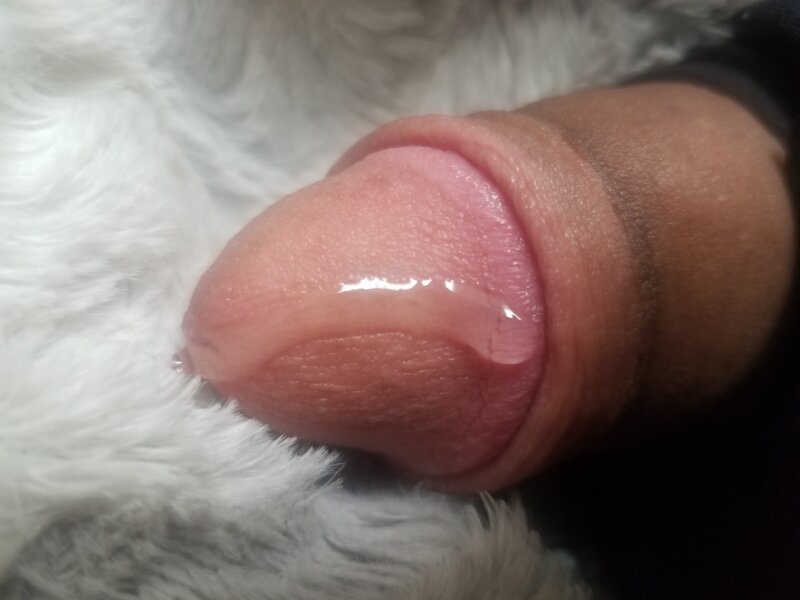 My pretty cock with pre cum picture