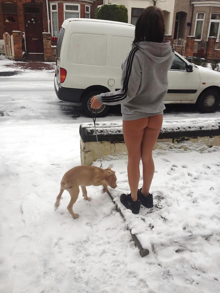 kamu karda dışarıda sıcak eşek picture