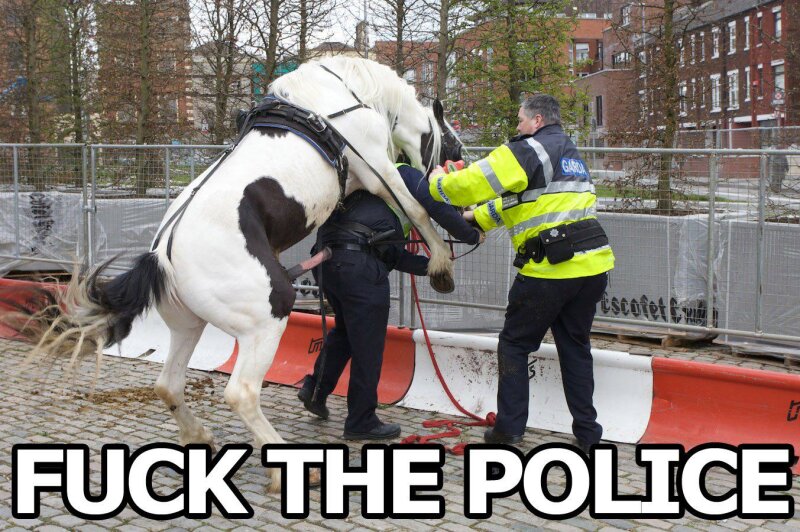 Fuck The Police ★ Pferd Fickt Cop ★ PunXXX picture