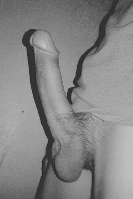 my cock 1 picture